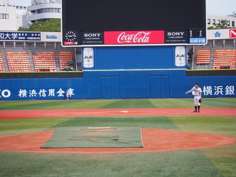 アンダーアーマ　硬式木製バット NPB ライオンズ　愛斗選手実使用